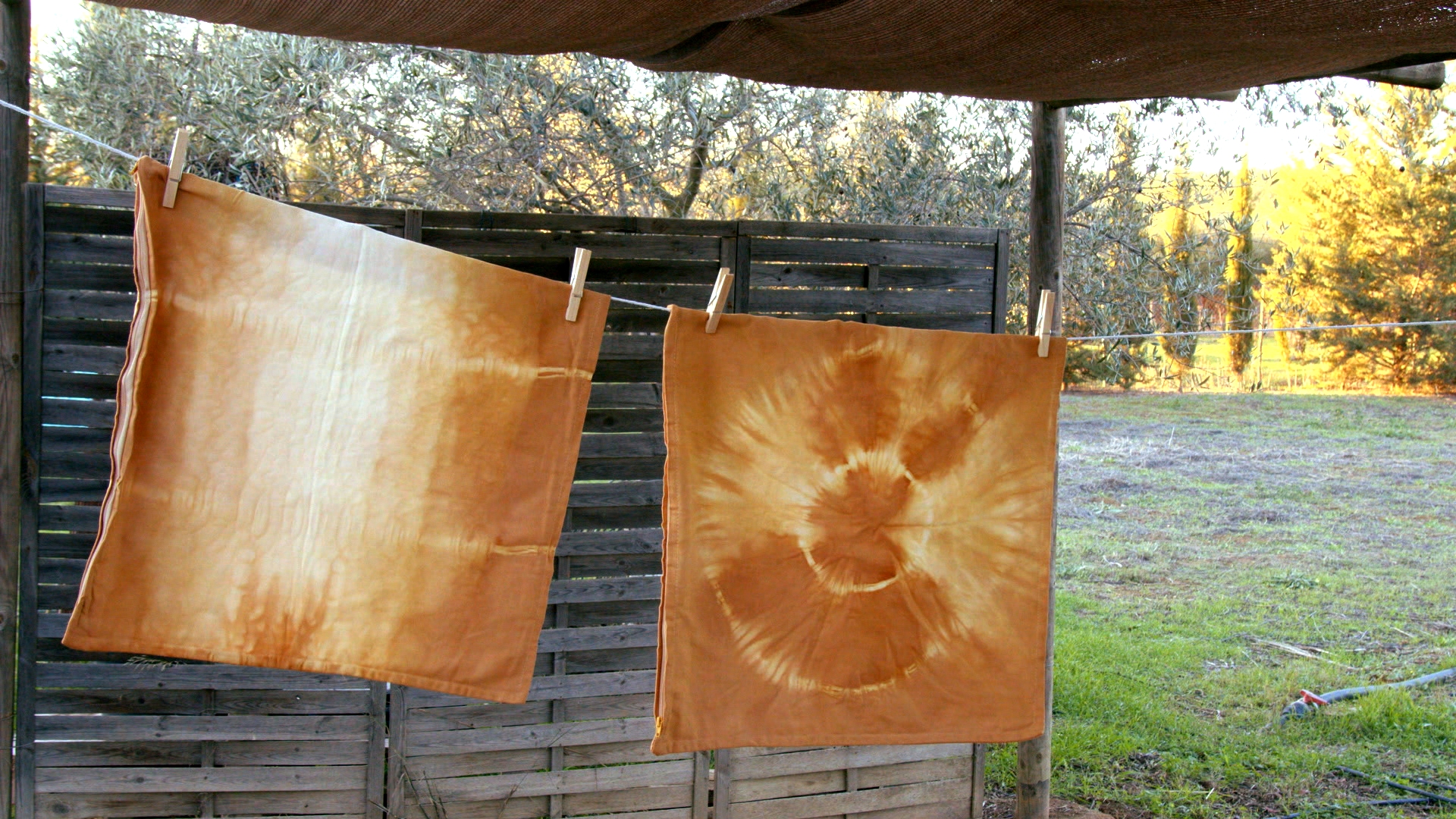 Teñir El Pelo Con Cascara De Cebolla www.canalextremadura.es